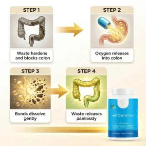 OxivaFlow Cleanse Dietary Supplement