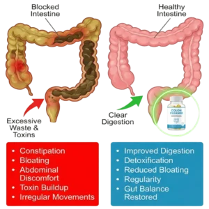 Colon Cleanse Digestive Support Formula